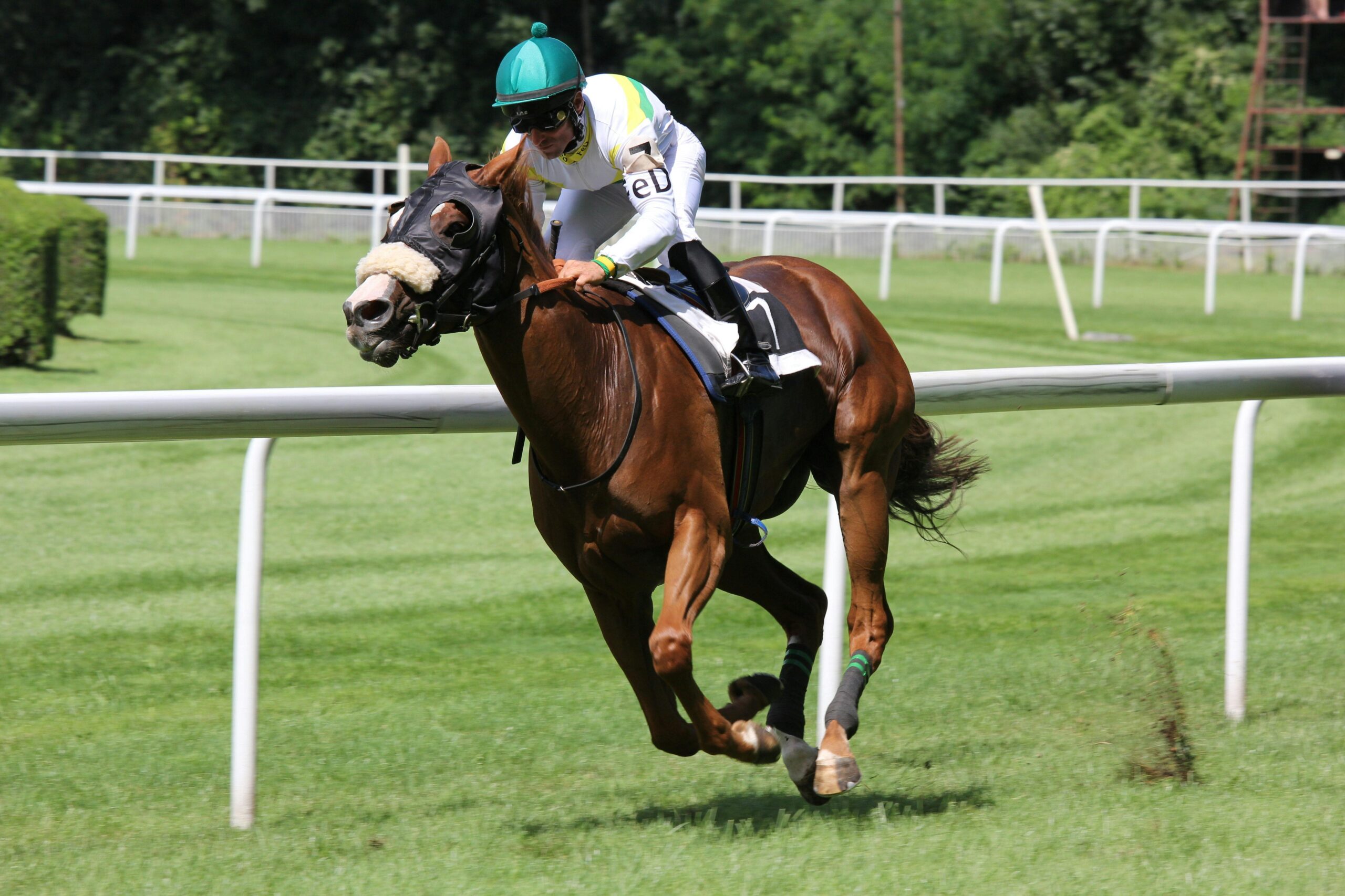 Photo d'illustration présentant un jockey sur son cheval en plein course.