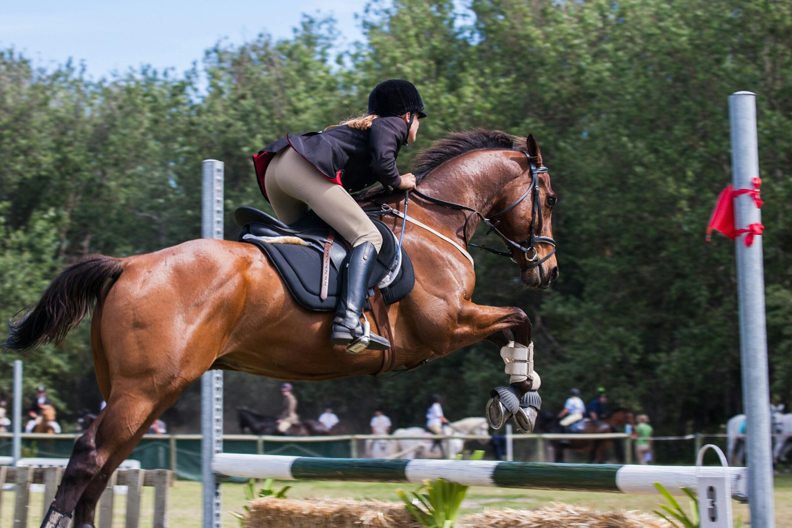 Photo d'illustration présentant une cavalière en plein saut d'obstacle.